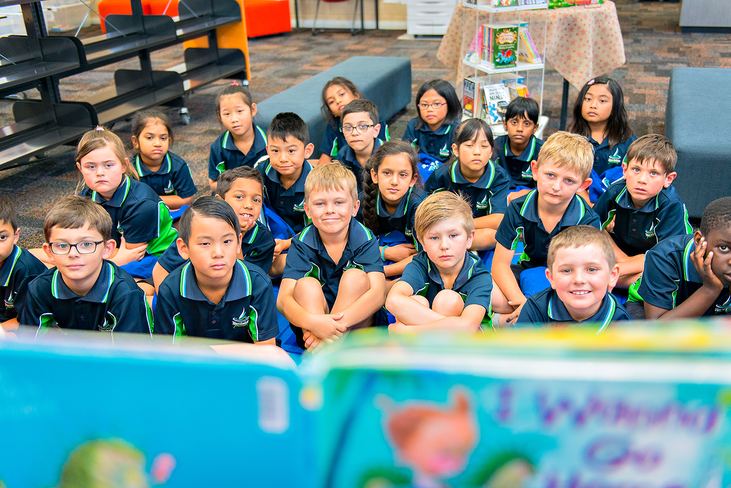 Library Harrisdale Primary School library-harrisdale-primary-school